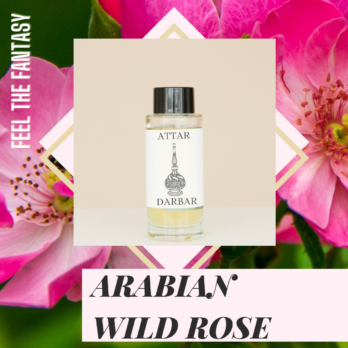 ARABIAN WILD ROSE
