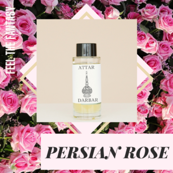 PERSIAN ROSE