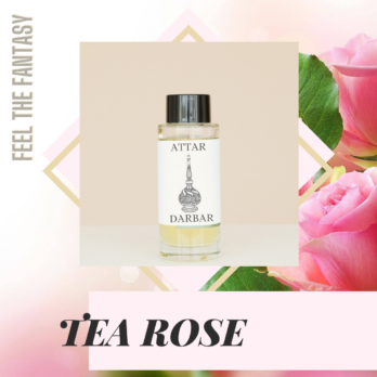 TEA ROSE