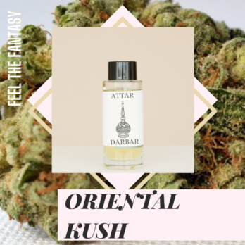 oriental-kush