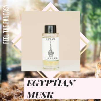 EGYPTIAN MUSK