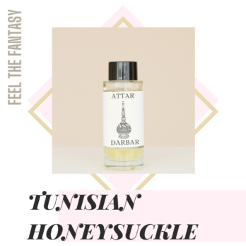 TUNISIAN HONEYSUCKLE